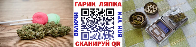 Canna-Cookies марихуана  Мурино 