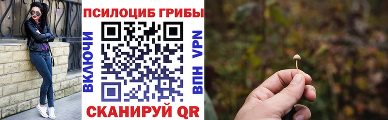 Псилоцибиновые грибы Psilocybine cubensis  это состав  Мурино  как найти наркотики 