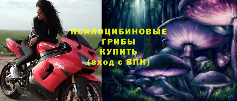 Галлюциногенные грибы Magic Shrooms Мурино