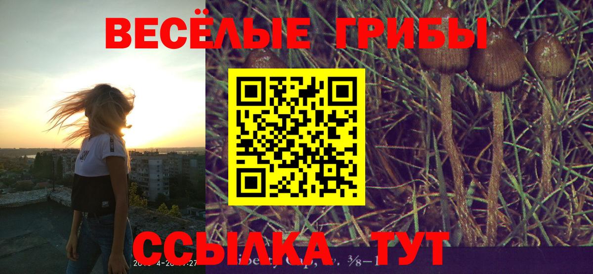 Псилоцибиновые грибы прущие грибы Мурино