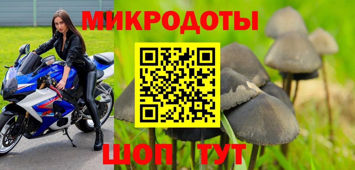COCAIN Мурино