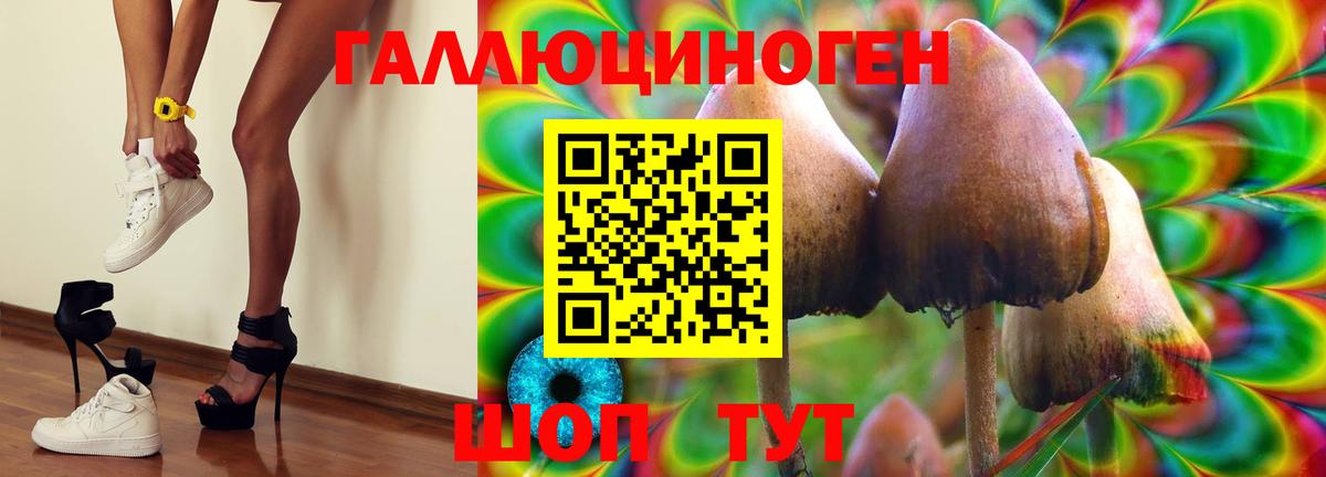 Мурино  Галлюциногенные грибы Magic Shrooms  как найти   Вход с VPN 